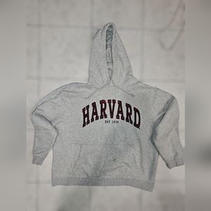 Mens Harvard Hoodie Size L
